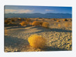 Mesquite Flat Sand Dunes, Death Valley National Park, California I