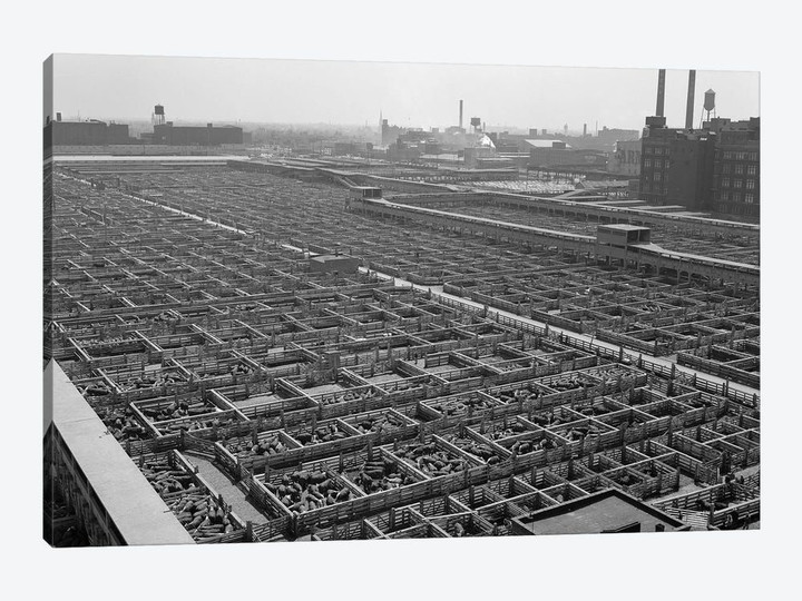 1950s Aerial View Of Cattle Pens At The Union Stock Yard & Transit Company Chicago Il USA