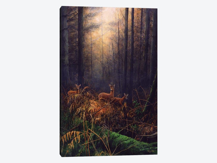 Autumn Mist - Roe Deer