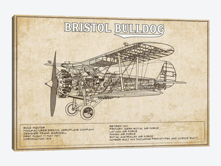 Bristol Bulldog Brown