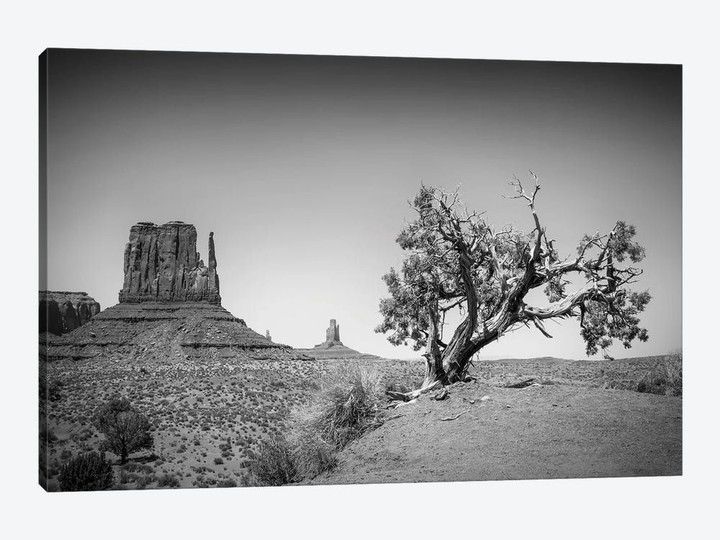Monument Valley West Mitten Butte And Tree