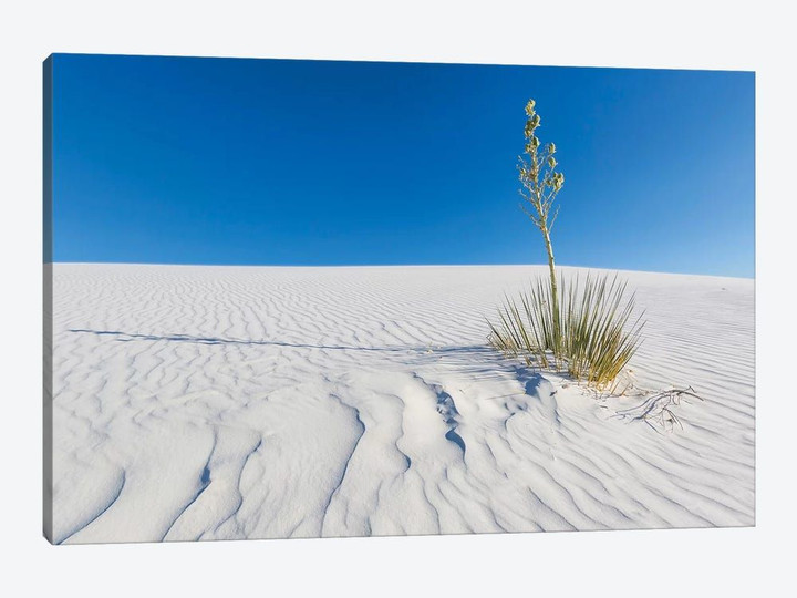 White Sands Nature