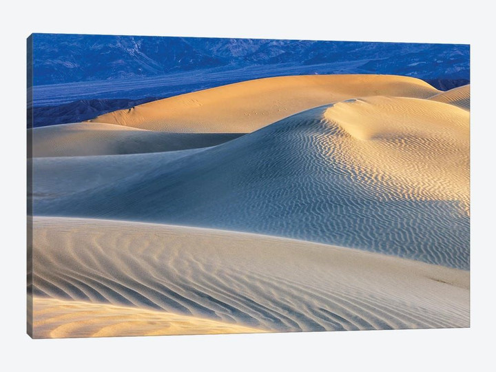 Mesquite Sand Dunes. Death Valley, California I