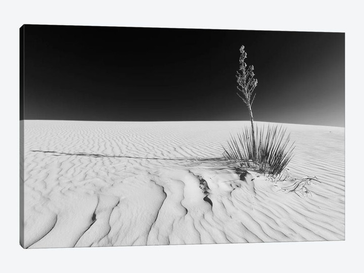 White Sands Nature | Monochrome