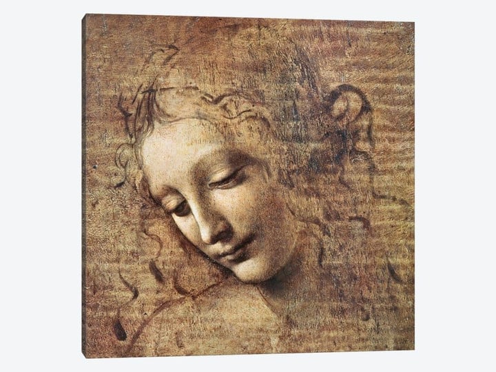 Head of a Young Woman with Tousled Hair or, Leda