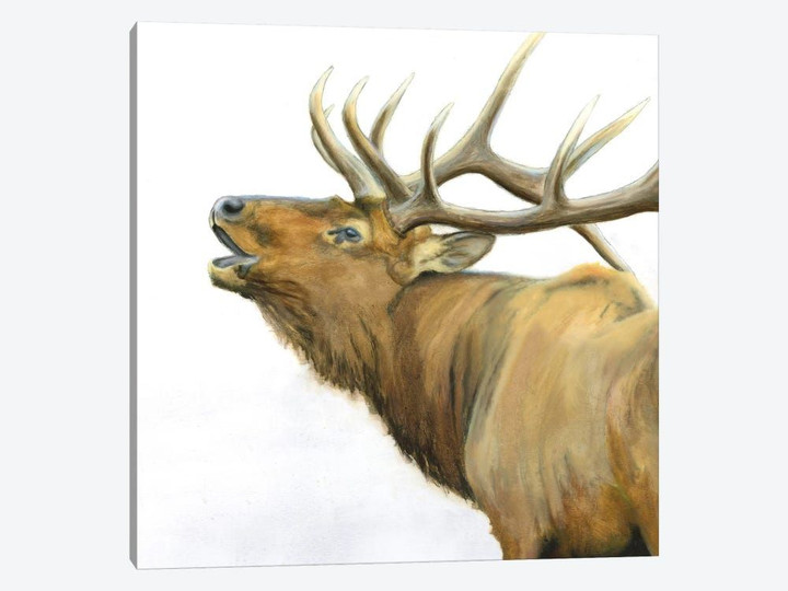 Majestic Brown Elk