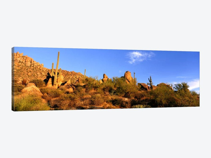 Desert Landscape, Sonoran Desert, Arizona, United States