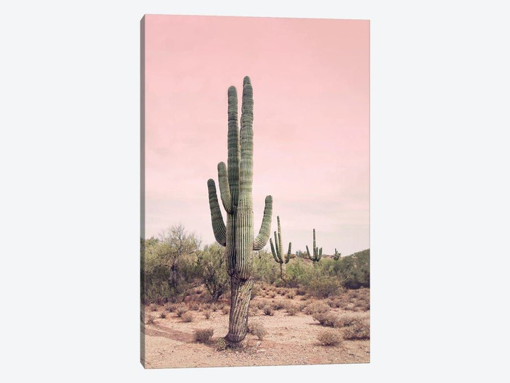 Desert Cactus Blush
