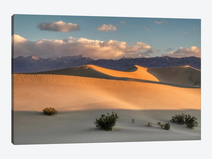 USA, California. Death Valley National Park, Mesquite Flats Sand Dunes, blowing sand.