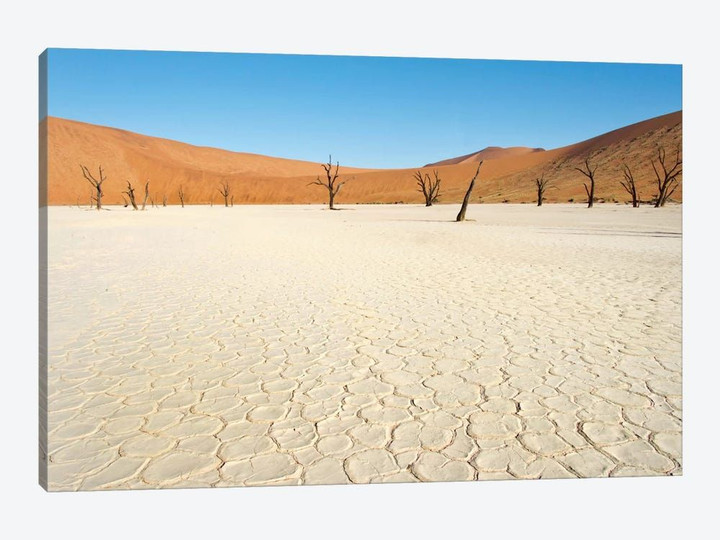 Desert Landscape III, Deadvlei, Namib Desert, Namib-Naukluft National Park, Namibia