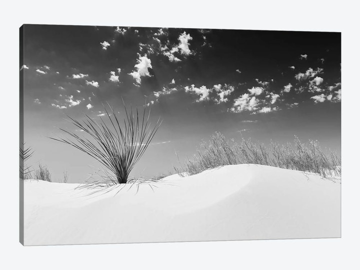 White Sands Minimalistic | Monochrome