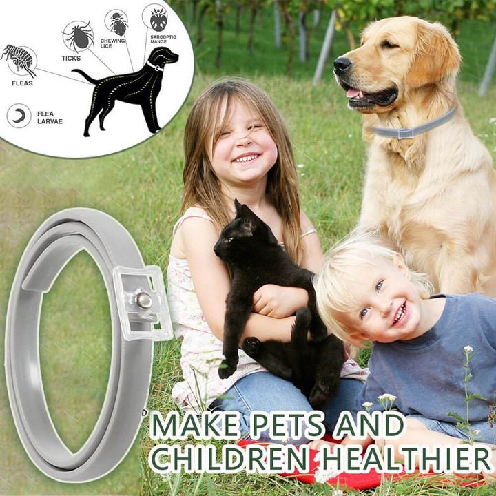 Garish Pigs Master Guard Flea And Tick Collar For Dogs & Cats