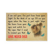 Yorkshire Terrier Personalized Dog Canvas Dreamship 24x16in