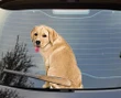 Labrador Retriever Dog With A Wagging Tail Funny Sticker Sticker PodEz Labrador Retriever