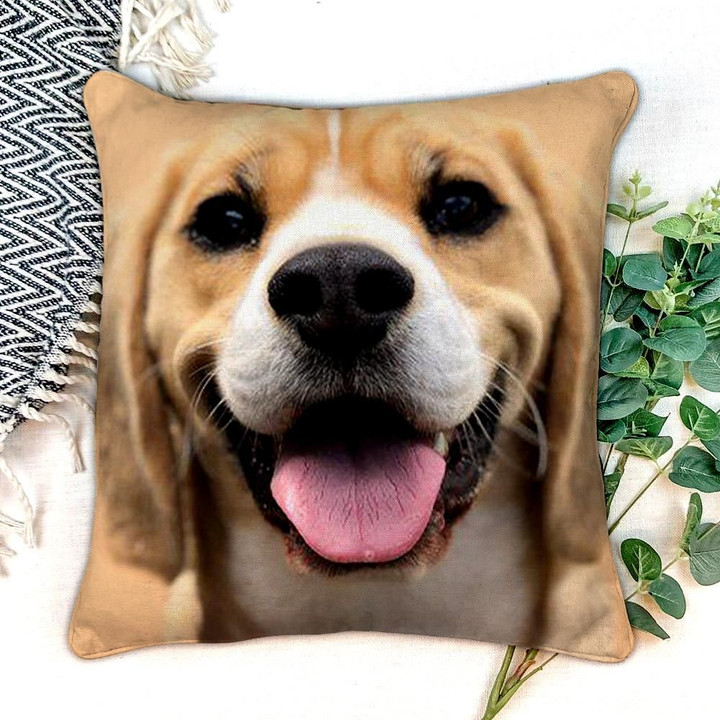 Beagle Canvas Pillow ntk-20tt001 Dreamship