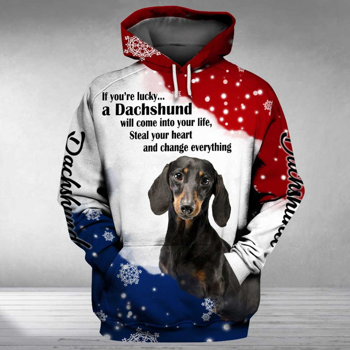 DACHSHUND will come into your life 3D Full Printing Hoodie Hoodie 3D 3D Tee Art Hoodie S