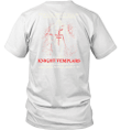 Whatever Does Not Kill You Makes You Stronger Except Knight Templar Warrior Standing T-Shirt