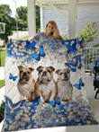 BULLDOG Blanket Blue Butterfly | | Gifts Dog Cat Lovers, Sherpa Fleece Blanket Throw, Home & Living
