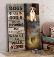 Boxer - CANVAS Dog Are God's Way of proving [ID3-D] | Framed, Best Gift, Pet Lover, Housewarming, Wall Art Print, Home Decor