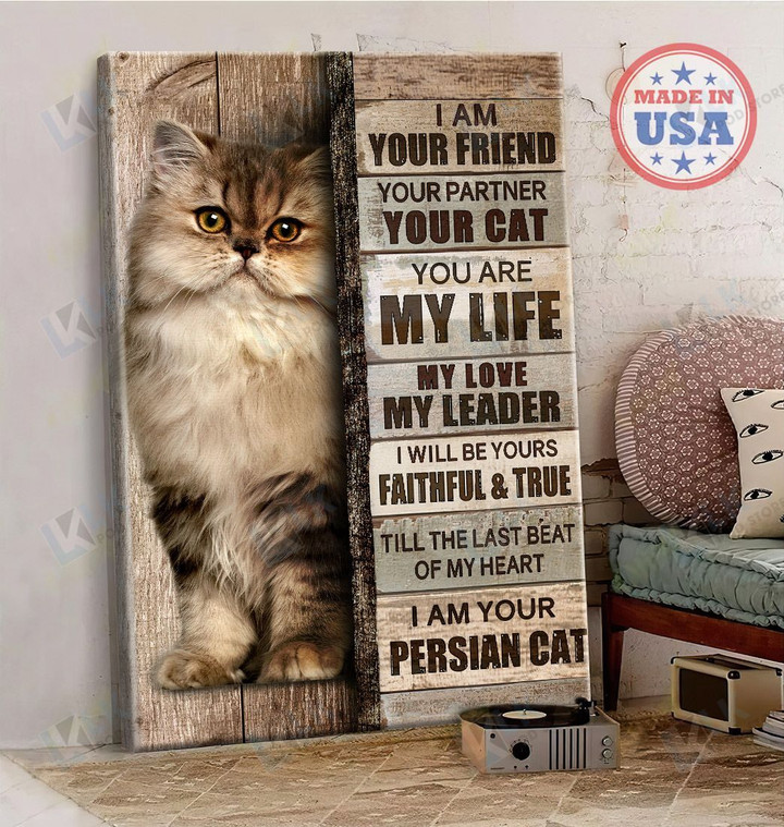 PERSIAN CAT - CANVAS I'm Your Friend [ID3-D] | Cat lover canvas, Canvas art wall decor, Home Decor, Persian Cat Gift