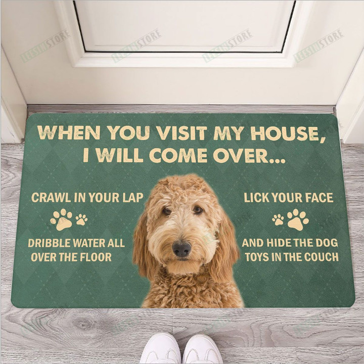 When you visit my house Goldendoodle Dog