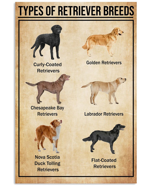 Types Of Retriever Breeds Knowledge Informative Vintage Poster Canvas Gift For Retriever Lovers Dog Lovers Poster