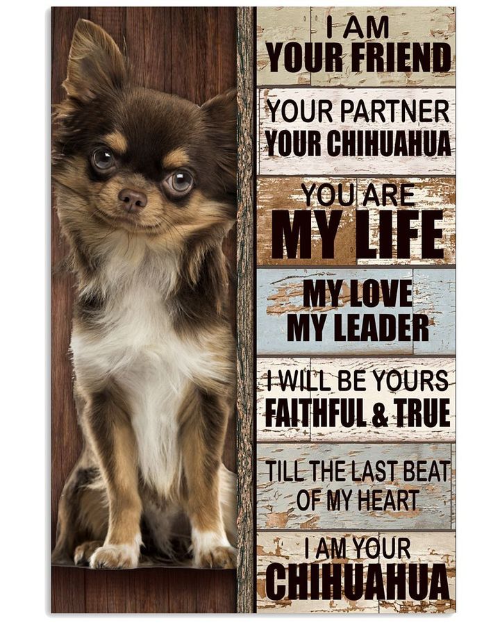 Chihuahua I Am Your Friend Your Partner Your Chihuahua Poster Canvas Gift For Chihuahua Lovers