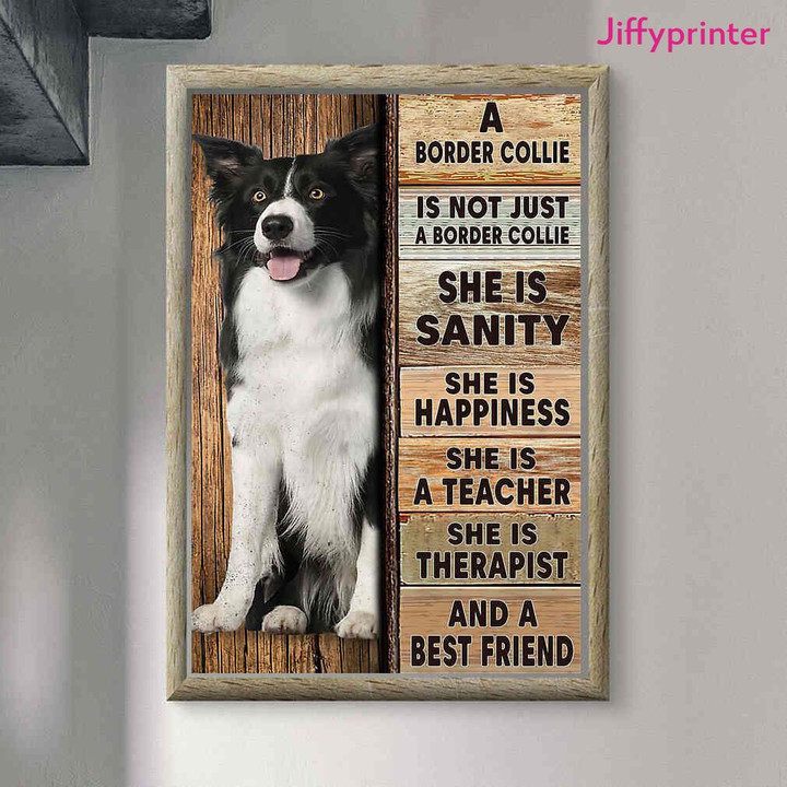 A Border Collie Is Not Just A Border Collie She Is Sanity Happiness Teacher Poster Canvas Gift For Border Collie Fans