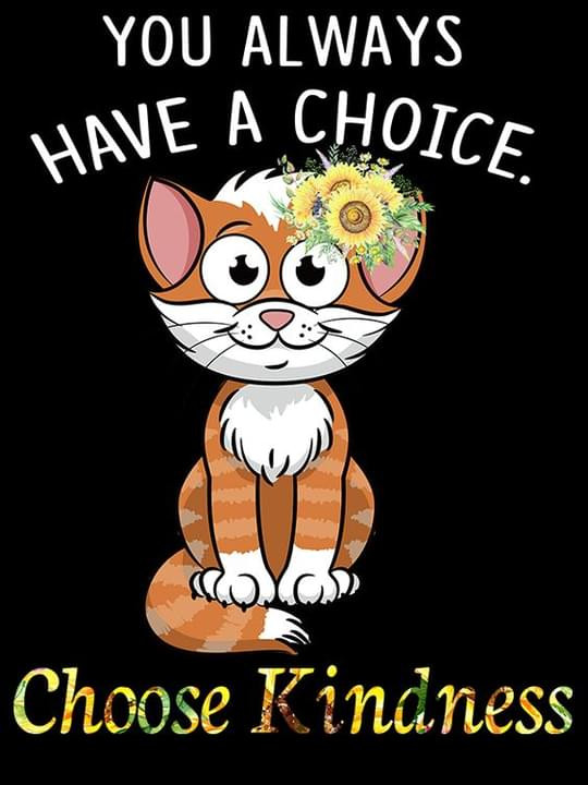 You Always Have A Choice Choose Kindness Lovely Cat Sunflower Classic T-Shirt Gift For Cats Lovers