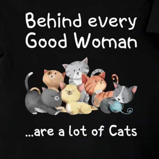 Behind Every Good Woman Are A Lot Of Cats Cute Cat Breeds Tshirt Gift For Cat Lovers