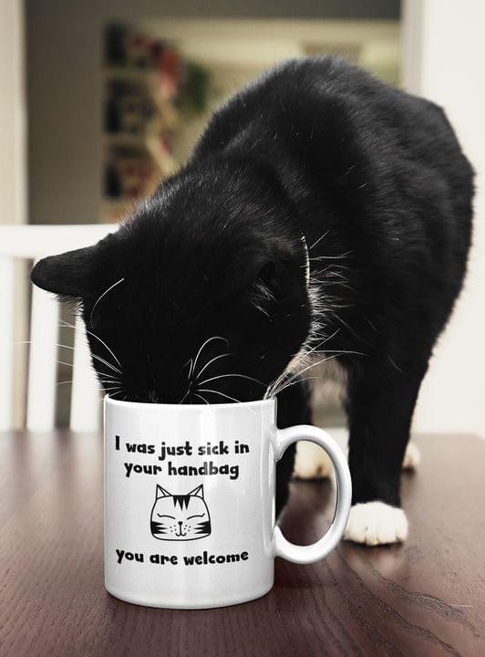 I Was Just Sick In Your Handbag You Are Welcome Cute Cat Mug Gift For Cats Lovers Cats Moms