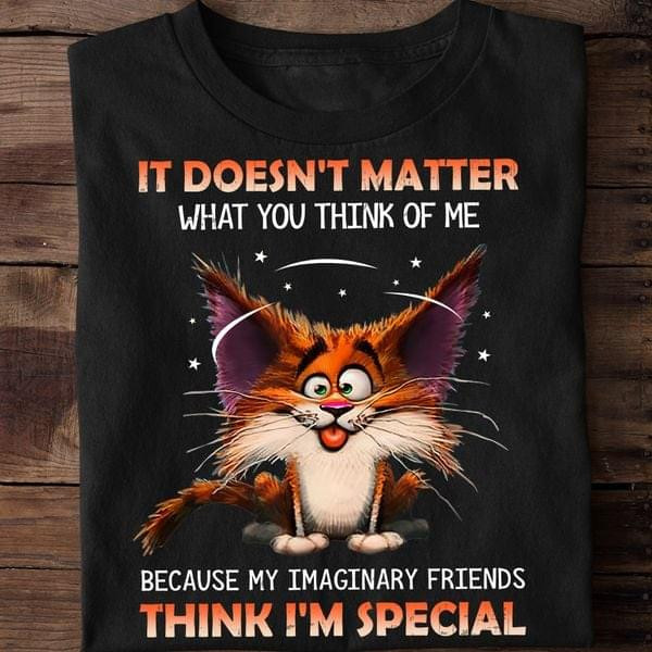 It Does Not Matter What You Think Of Me Think I Am Special Funny Cat Classic T-Shirt Gift For Cats Lovers Cats Moms
