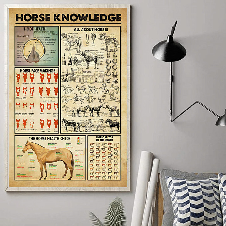 Horse Knowledge Poster