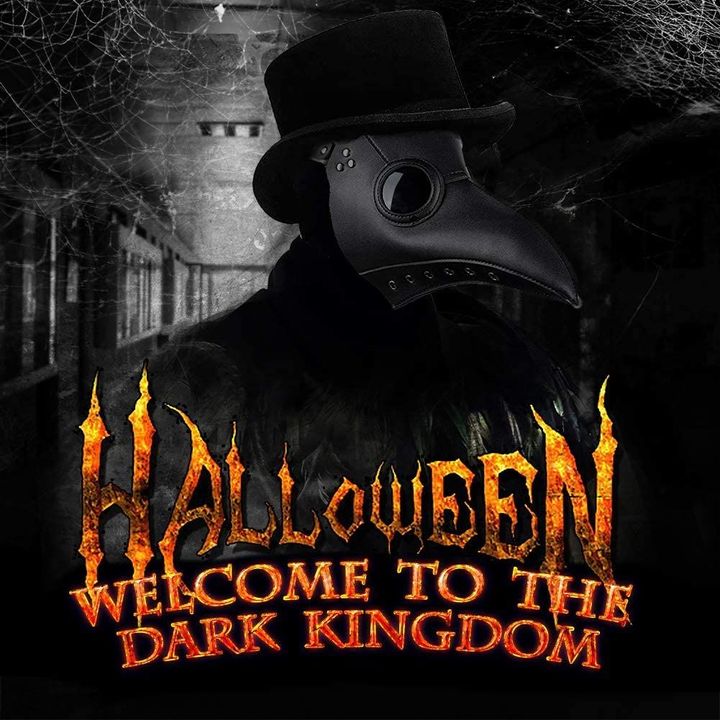 🔥Early Halloween Promotions-50% OFF🔥 Plague Doctor Bird Mask