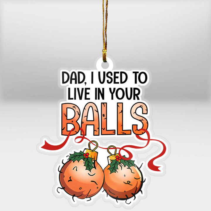 I USED TO LIVE IN YOUR BALLS - ORNAMENT - 51T1022