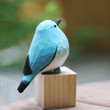 Bluebirds Spirit Animal