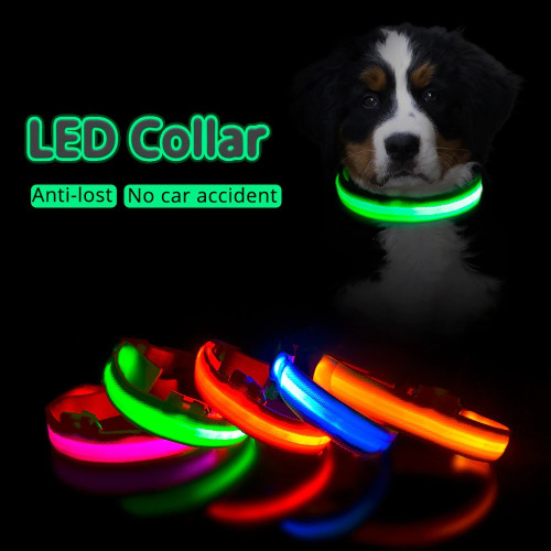 🔥New Year Sales🔥 Safety Dog Led Collar