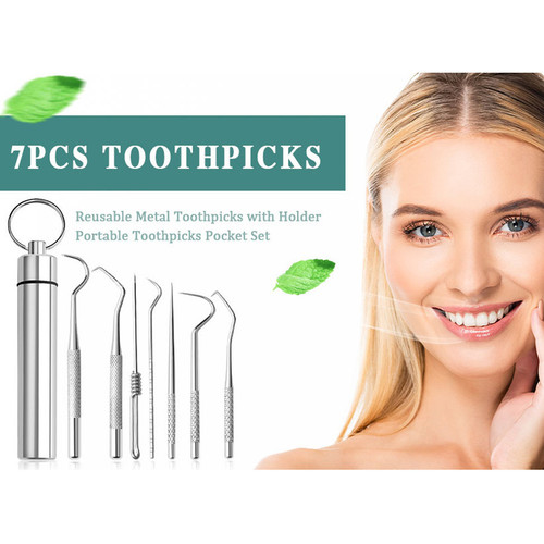 Stainless Steel Toothpick [Set 7PCS] 🔥50% OFF - LIMITED TIME ONLY🔥