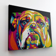 Colorful Bulldog