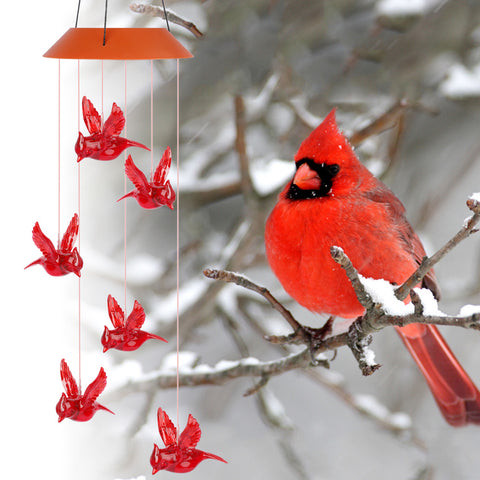 Solar Cardinal Wind Chime Light 🔥50% OFF - LIMITED TIME ONLY🔥