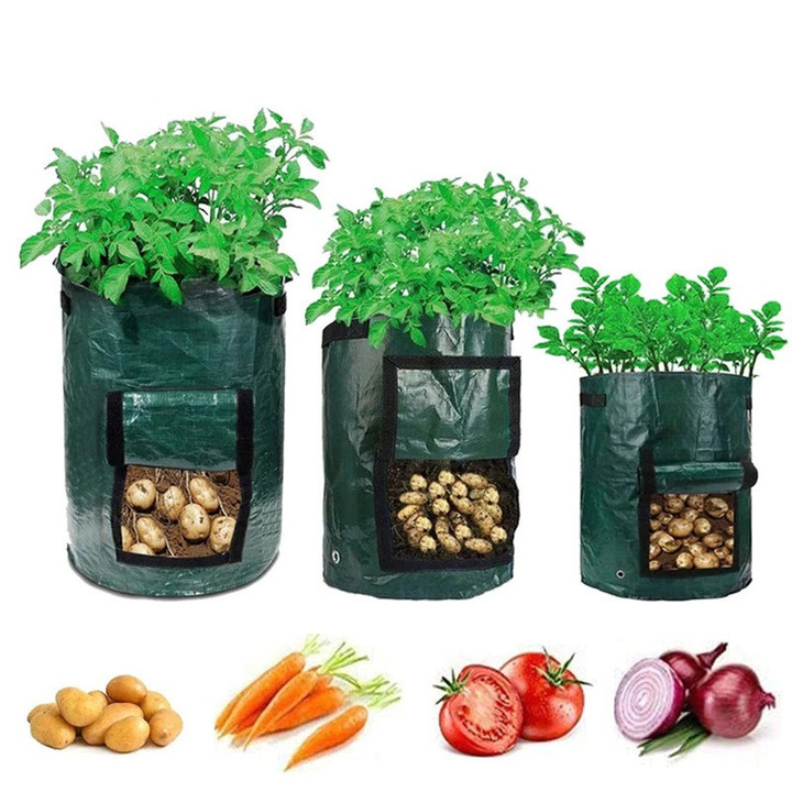 Large Capacity Potato & Vegetable Grow Planter PE Container Bag