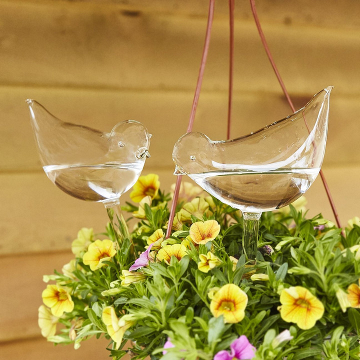 2PCS Self-Watering Plant Glass Bulbs