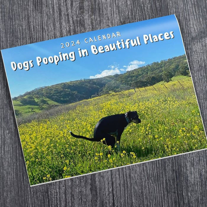 🌕Dogs Pooping In Beautiful Places 2024 Wall Calendar