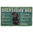 Alohazing 3D Anatomy Of A Dachshund Dog Doormat