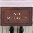 Alohazing 3D No Muggles Doormat