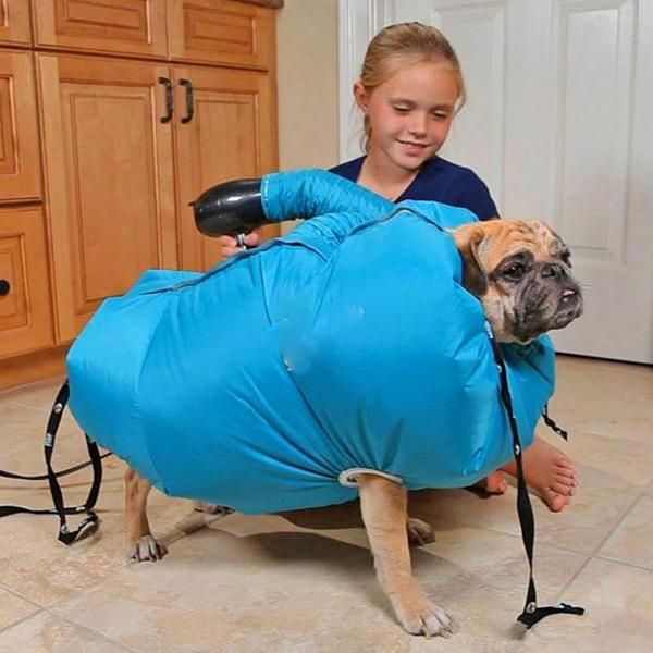 Dog Drying Bag