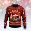 Dachshund Best Dog Mom Ugly Christmas Sweater, Dachshund Best Dog Mom 3D All Over Printed Sweater