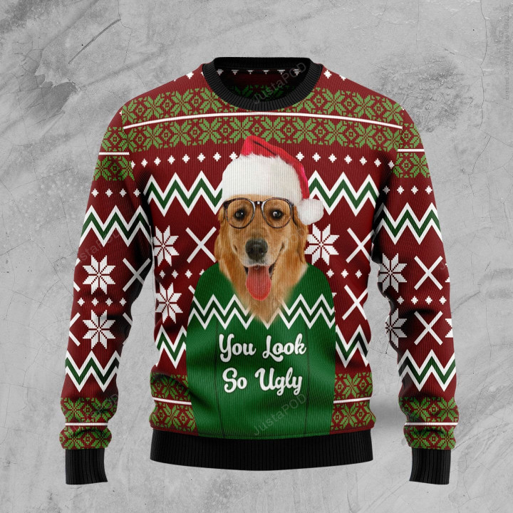Labrador Retriever You Look So Ugly Ugly Christmas Sweater, Labrador Retriever You Look So 3D All Over Printed Sweater