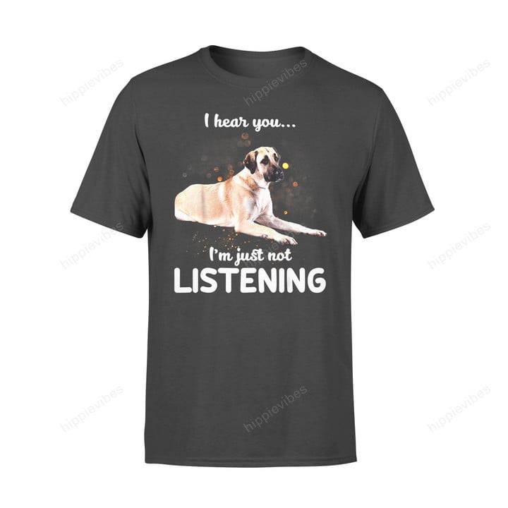 Dog Gift Idea Anatolian Shepherd I Hear You Not Listening T-Shirt - Standard T-Shirt S / Black
