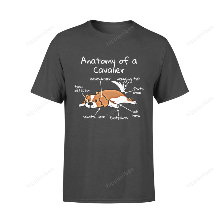 Dog Gift Idea Anatomy Of A Cavalier King Charles Spaniel Funny T-Shirt - Standard T-Shirt S / Black
